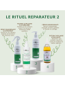 Potion Capillaire Stimulante | Huile de pousse cheveux au romarin, café, ricin et menthe poivrée – Carolina-B