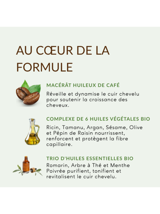 Potion Capillaire Stimulante | Huile de pousse cheveux au romarin, café, ricin et menthe poivrée – Carolina-B