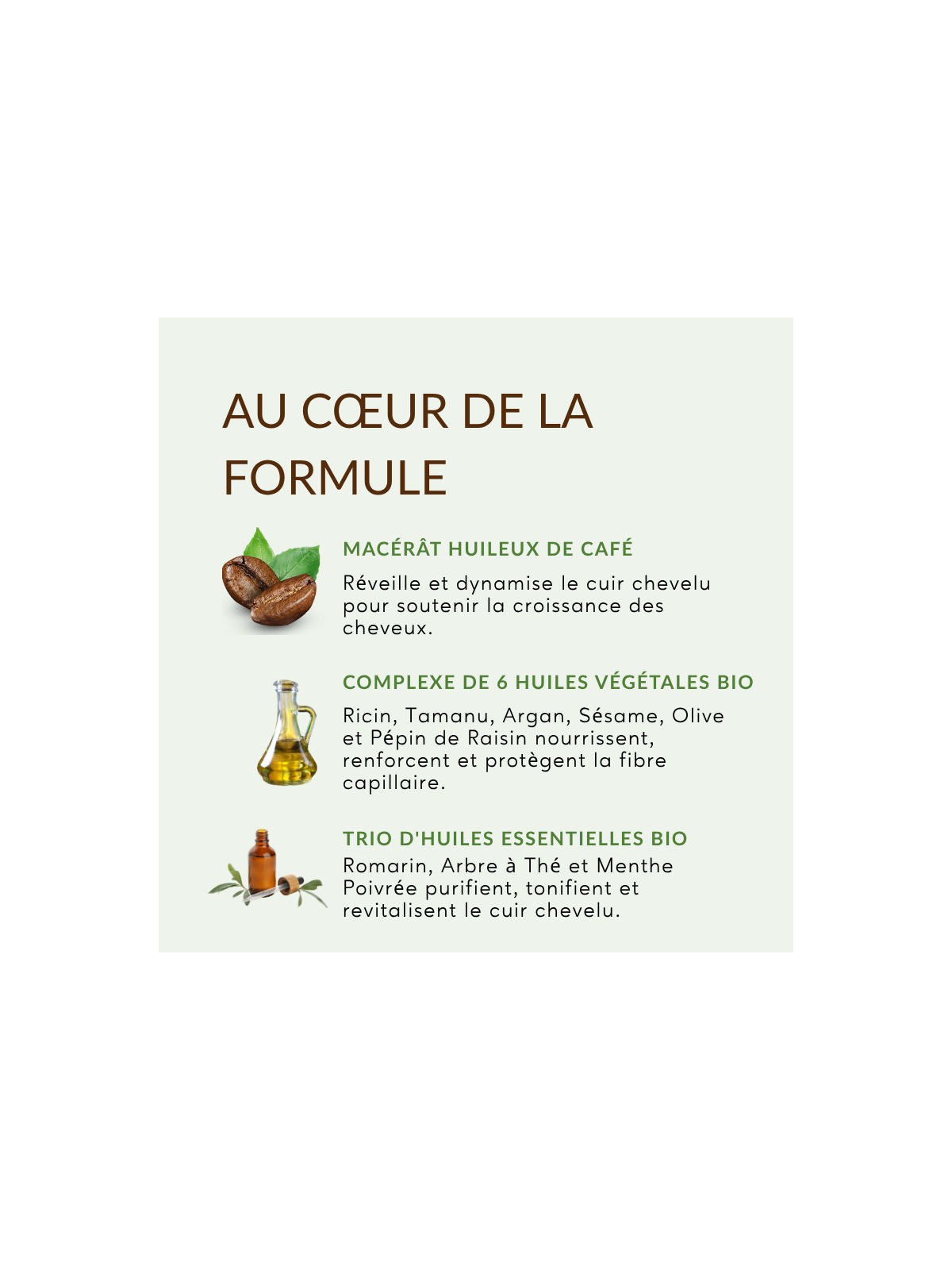 Potion Capillaire Stimulante | Huile de pousse cheveux au romarin, café, ricin et menthe poivrée – Carolina-B