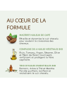 Potion Capillaire Stimulante | Huile de pousse cheveux au romarin, café, ricin et menthe poivrée – Carolina-B