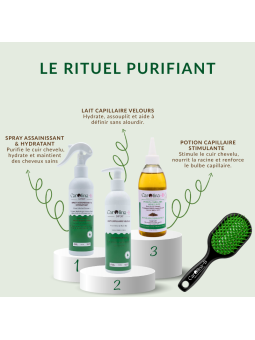 Rituel Purifiant – Cuir Chevelu Sain & Cheveux Fortifiés | Carolina-B