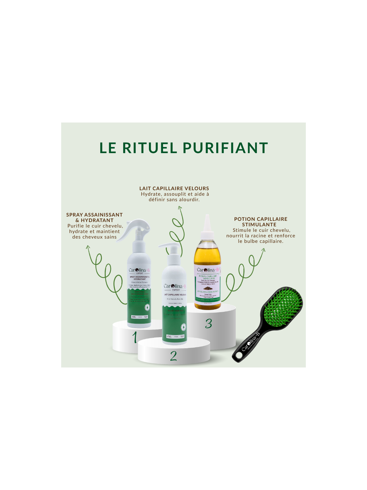 Rituel Purifiant – Cuir Chevelu Sain & Cheveux Fortifiés | Carolina-B